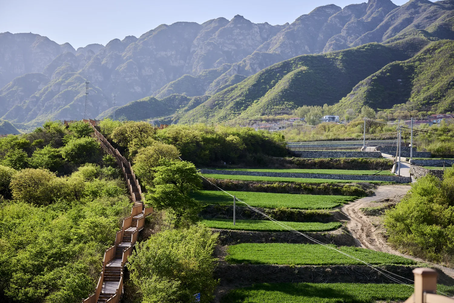 溜石港高山梯田与木栈道
